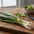 Green Onions - 1 Bunch