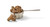 Dehydrated Lamb Entree for Dogs - 1 lb