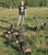 Cooper's Whole Turkey - 13 lb
