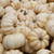 Decorative Mini White Pumpkins