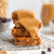 GoMacro PB & Chocolate Chip Bar - 2.3oz GoMacro PB & Chocolate Chip Bar - 2.3oz