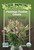 Flamingo Feather Celosia - 50 seeds Flamingo Feather Celosia - 50 seeds