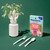 Compostable Assorted Cutlery - 24pcs Compostable Assorted Cutlery - 24pcs