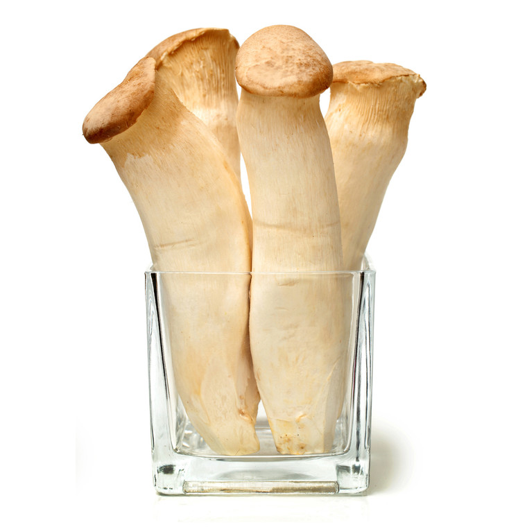 King Trumpet Oyster Mushrooms