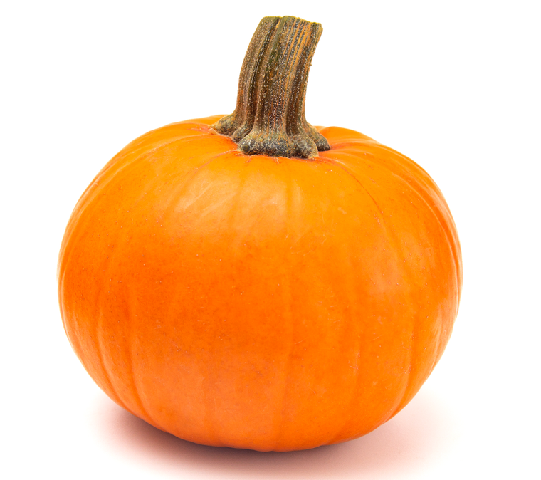 Pie Pumpkin