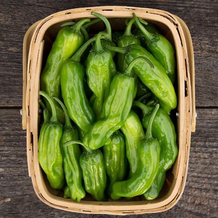 Shishito Pepper Seeds - 1/64 OZ