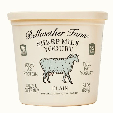 Sheep Milk Yogurt Plain - 16oz