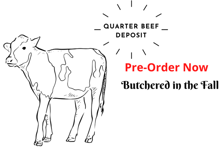 Quarter Beef Deposit - 120lb Ave
