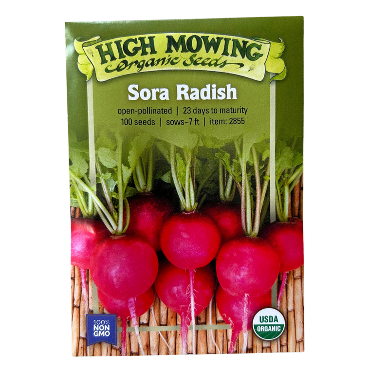 Sora Radish - 100 SEEDS