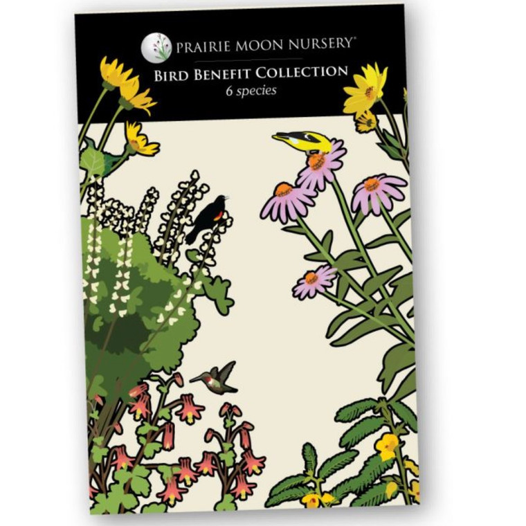 Bird Benefit Seed Collection - 6pk