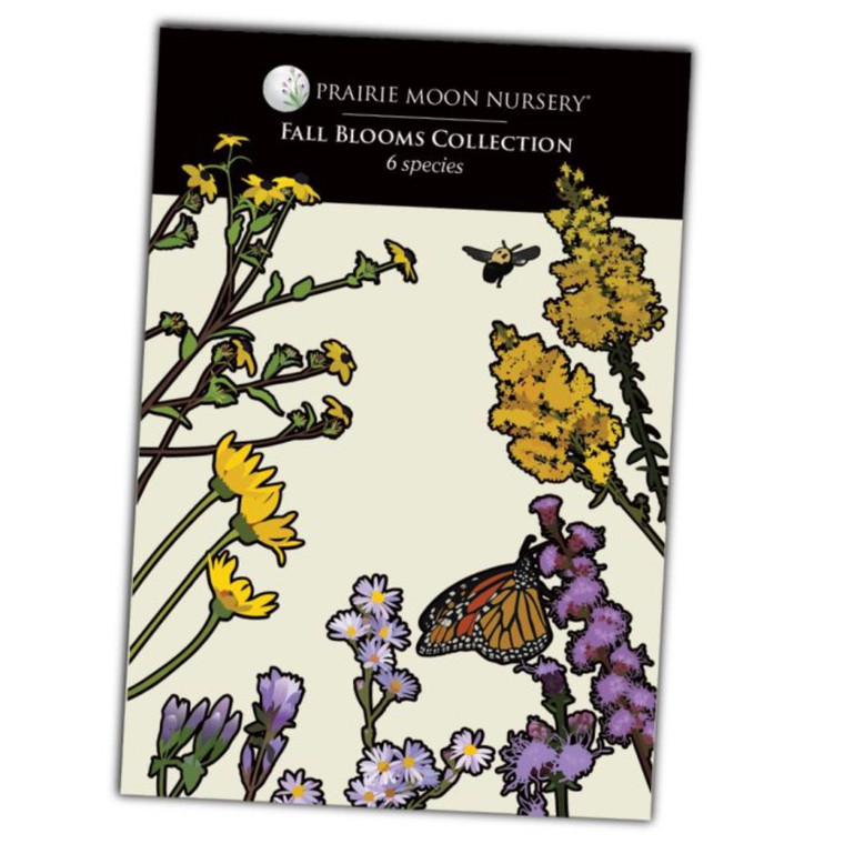 Fall Blooms Seed Collection - 6pk