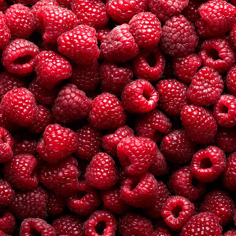 Fresh Raspberries Fresh Raspberries