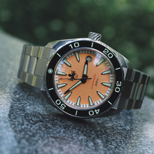 PHOIBOS Proteus 300M Automatic Diver Watch  PY024G Salmon