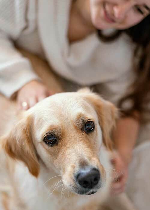 Cuida a tus mascotas con farmacos veterinarios en Farmacia Vives García en Dénia