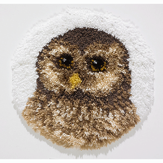 Owl Latch Hook Rug Kit