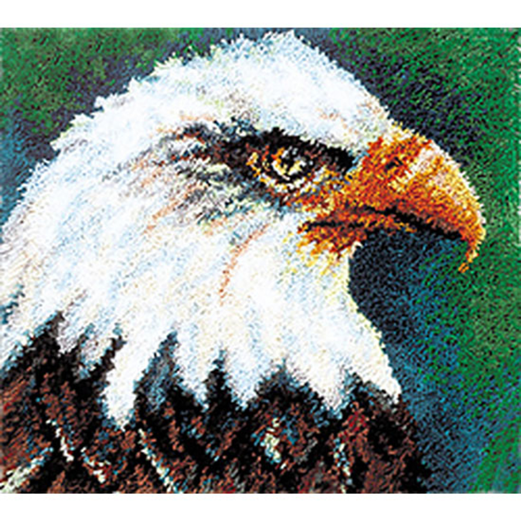 https://cdn11.bigcommerce.com/s-gp4gxi81t7/images/stencil/2048x2048/products/328/761/Eagle-Latch-Hook-Rug-Kit__69905.1515554917.jpg?c=2