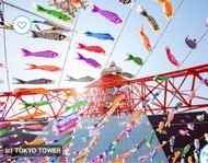 Koinobori and Children’s Day: A Joyful Celebration of Childhood in Japan