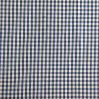 Sakizome Momen Fabric - Large Blue Check  
