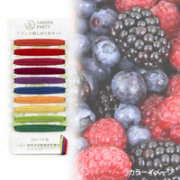 Garden Party Embroidery Threads Collection -  Vitamin (GP-C5)