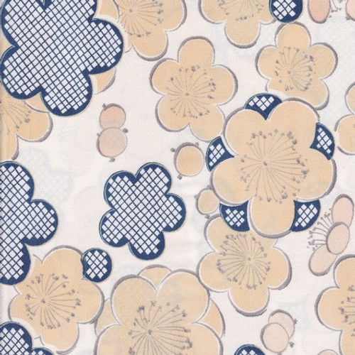 Silk Fabric TS-0499