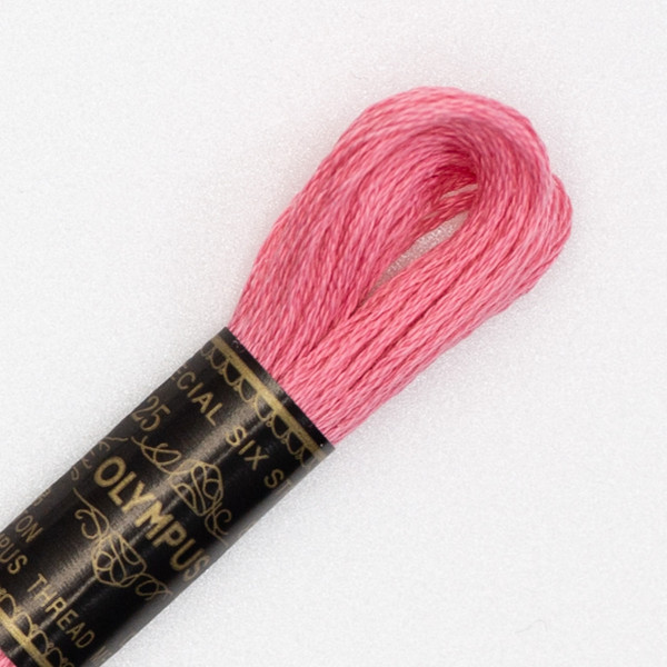 Embroidery Thread Olympus #1013