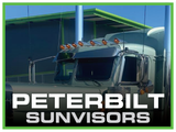 Sun Visors
