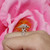 Pear Shape Diamond Solitaire Halo Engagement Ring 10K Rose Gold 2.05 CTW SZ 7.25