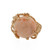 Angel Skin Coral Cabochon Gemstone Claw Ring 14K Y/Gold 4.40 TW Round Gem SZ 6