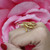 Snake Statement Ring 14K Yellow Gold Size 7.5 Unisex Estate