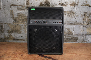 Trace Elliot TA-300 Acoustic Guitar Amp (Used)