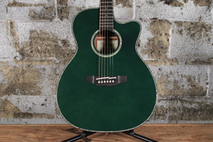 Takamine LTD 2025 Limited Edition w/ Takamine Hybrid Case