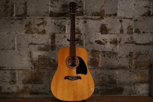 Oscar Schmidt OG2N Dreadnought (Used)