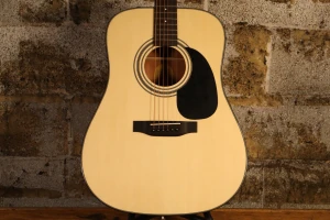Bristol BD-16 Dreadnaught w/Gig Bag
