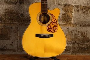 Blueridge BR-163CE Historic Cutaway w/Gig bag