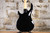 Peavey Milestone Black