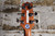 Takamine GD20CE-NS