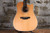 Takamine GD20CE-NS