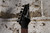 Ibanez RG2-EX (Used)