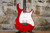 Peavey Raptor Plus Red