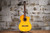 Takamine GC5CE-NAT