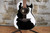 H. Jimenez LBQ4EBT El Patron Bajo Quinto w/ Bag