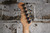 Reverend Flatroc Transparent Rock Orange