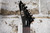 ESP LTD M-200DX Purple Burst