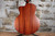 2003 Taylor Custom Shop 315ce Jumbo NAMM Show Exclusive w/ Deluxe Gig Bag (Used)