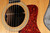2003 Taylor Custom Shop 315ce Jumbo NAMM Show Exclusive w/ Deluxe Gig Bag (Used)