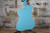 Danelectro '67 Dano Aqua