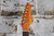 1960s Swinger by Kingston Red Burst (Made in Japan)