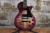 Agile 3010 Purple Burst (Used)