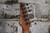 Ibanez TOD10 Tim Henson Signature Classic Silver w/ Original Gig Bag (Used)