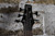 Ibanez GSR205 Walnut Flat (Used)